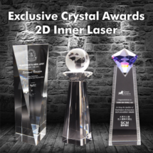 2D Inner Laser